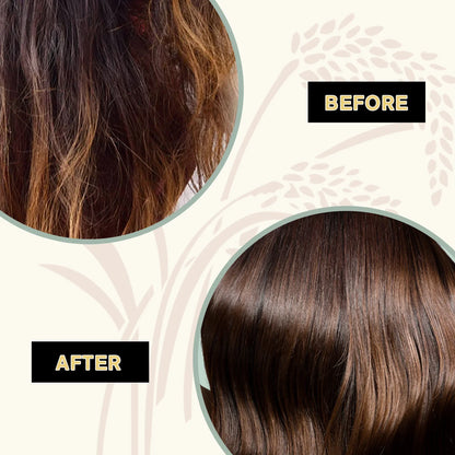 Shampooing et après-shampooing à l'eau de riz pour la croissance des cheveux